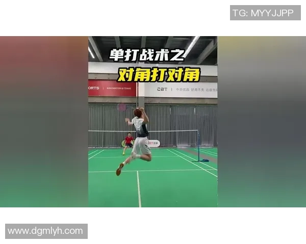 深入分析上海羽毛球队控制打法的战术特点与应用技巧